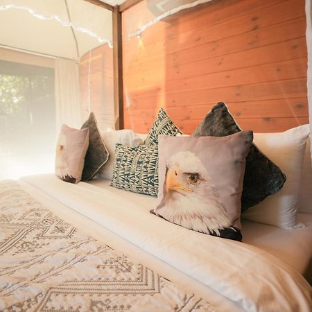Tribe Yala - Luxury Camping Exterior foto